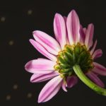 探索快乐8娱乐平台的乐趣与赢利机会 75xpg