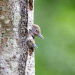 探索必赢娱乐平台官网:畅享无与伦比的游戏体验与乐趣 8qle1w8t6