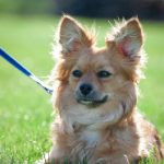 探索嬴咖娱乐注册的独特魅力与丰厚奖励 lvt20vc6z