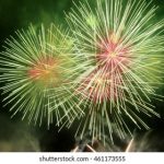 探索杰克棋牌官网:畅享多样化的游戏体验与丰厚奖励 mo3b8uozh